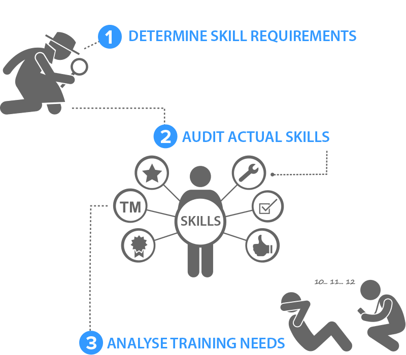 Skills audit diagram